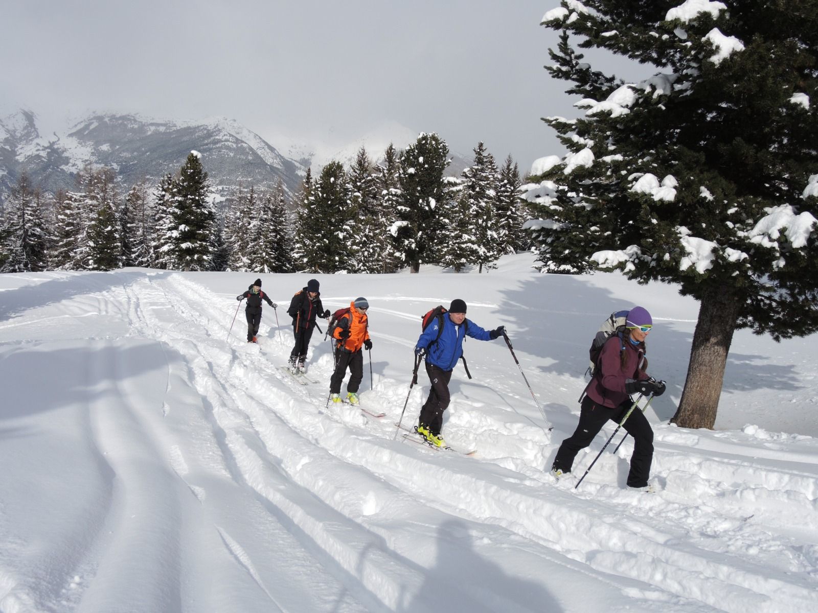 guide alpine