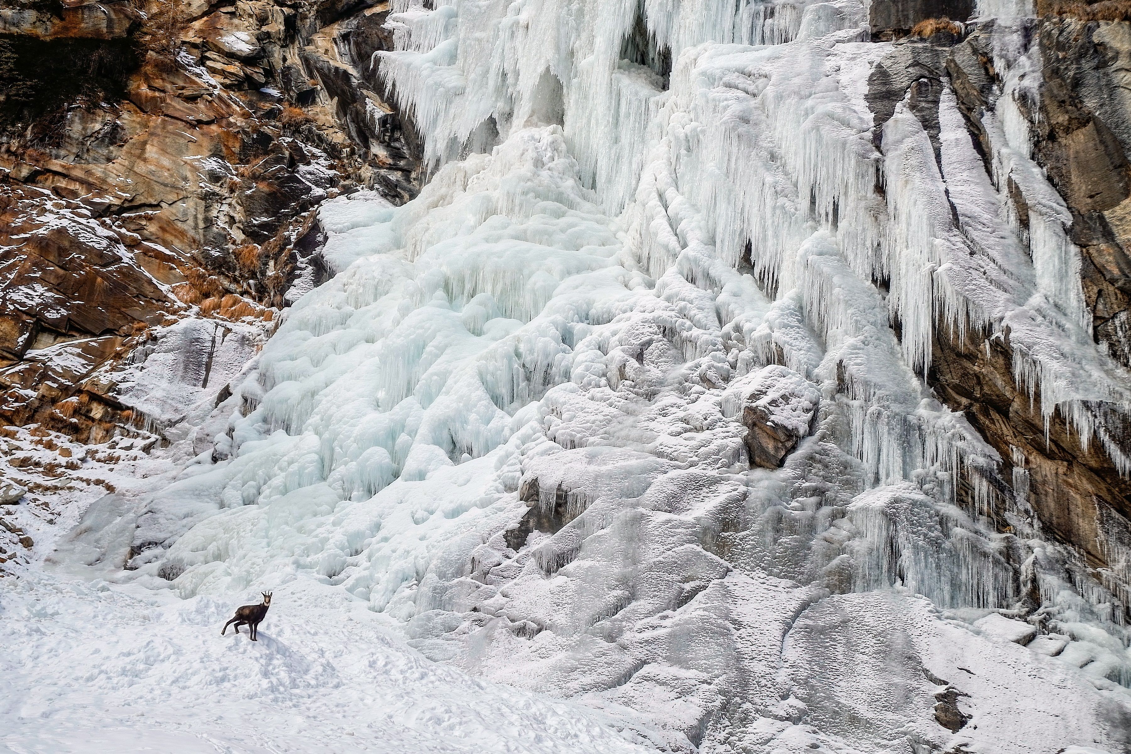 Secondo premio categoria paesaggio, fauna e alberi - "Il Custode Della Cascata" di Luca Fogazzi 