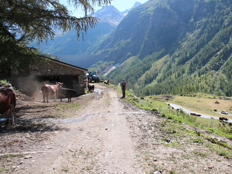 Azienda agricola Jordaney