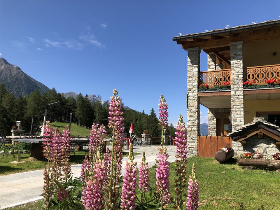 Struttura camping Lac Lexert e fiori