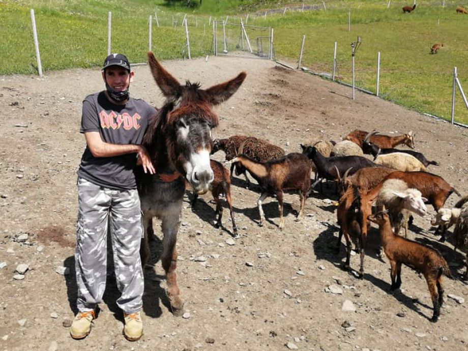 La Petite Ferme du Bonheur - Staff e animali