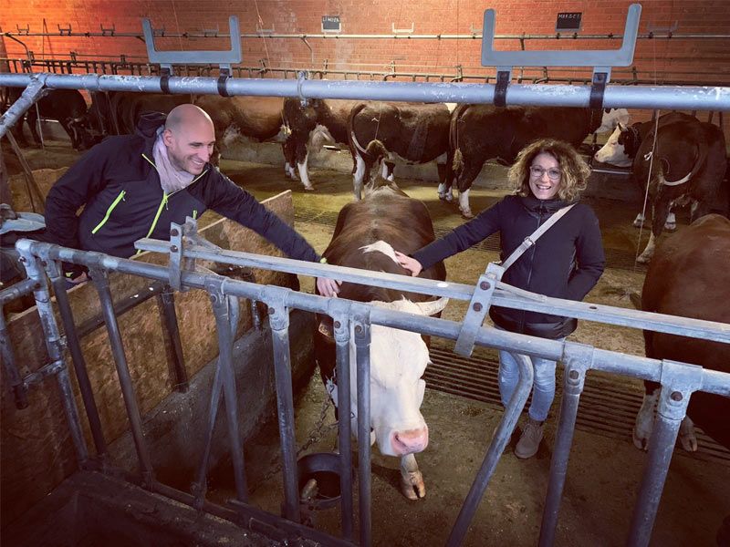 Adotta una mucca